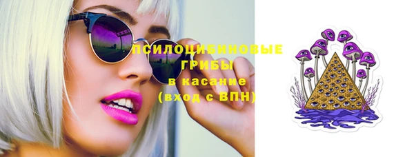 гидра Волоколамск