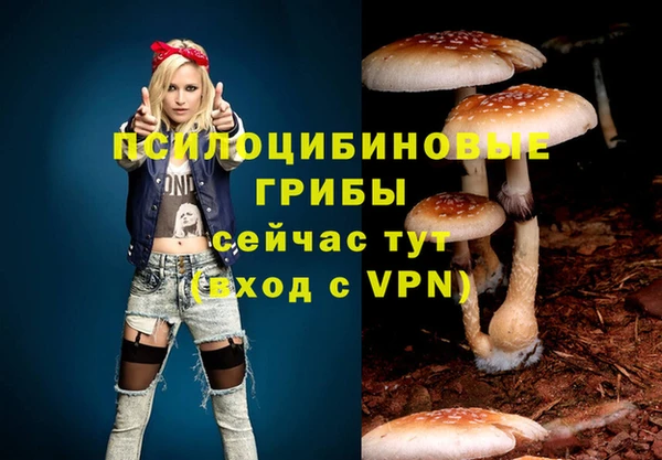 твердый Володарск