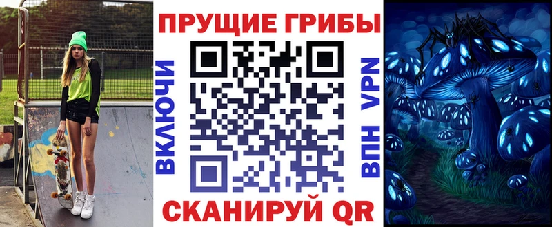 omg вход  Лукоянов  Псилоцибиновые грибы Psilocybine cubensis 